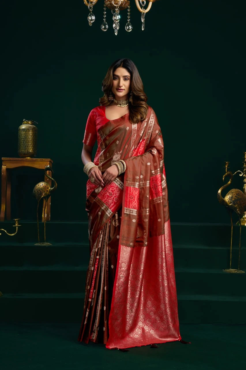 Woman in a red and brown saree standing against a dark background