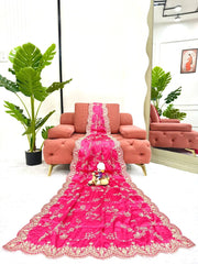 Pink embroidered saree with a mirror reflection in a living room setting