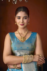 Rama Blue Jacquard Weaving Saree back view – contrast pallu draped over shoulder | KS303 Kalyanja