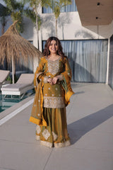 Olive Green Chiffon Suit