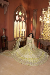 Shrutakirti Butterfly Net Lehenga