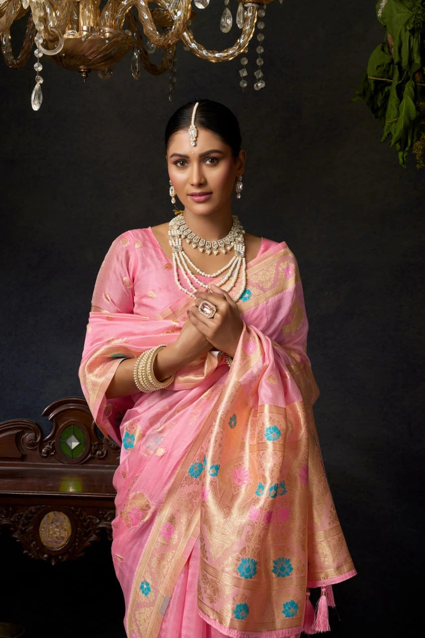 Woman in a pink saree with a dark background