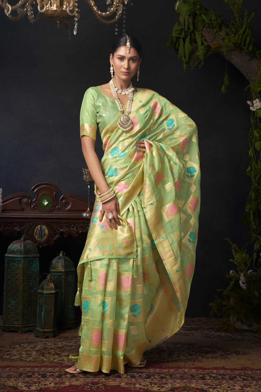 Woman in a green saree with a pattern against a dark background