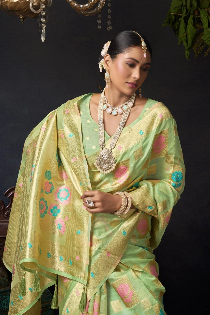 Woman in a light green saree with floral patterns against a dark background