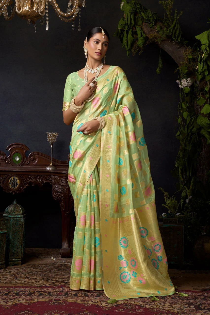 Woman in a light green saree with floral patterns standing in an elegant indoor setting.