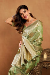 Woman in a green saree with jewelry against a brown background