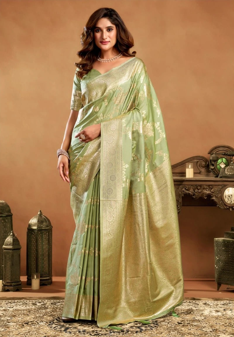Woman wearing a light green saree with a brown background