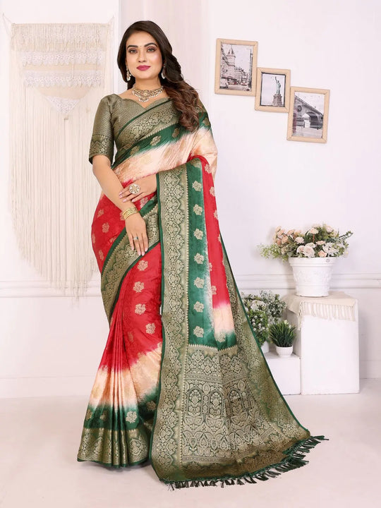 Woman wearing a red and green saree with a white background