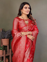 Woman wearing a red saree with gold patterns against a gray background