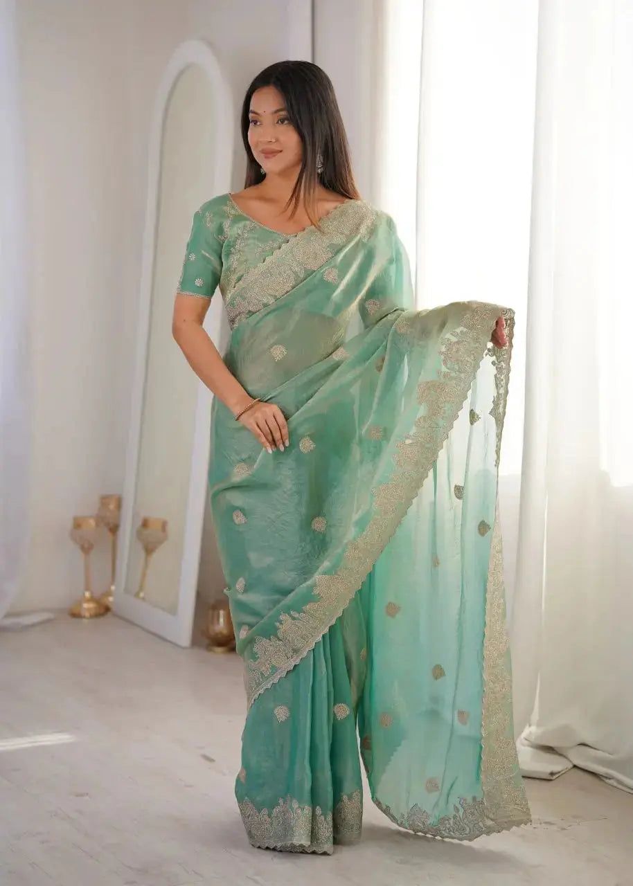 Sky Blue Zari Embroidered Saree full front view holding pallu