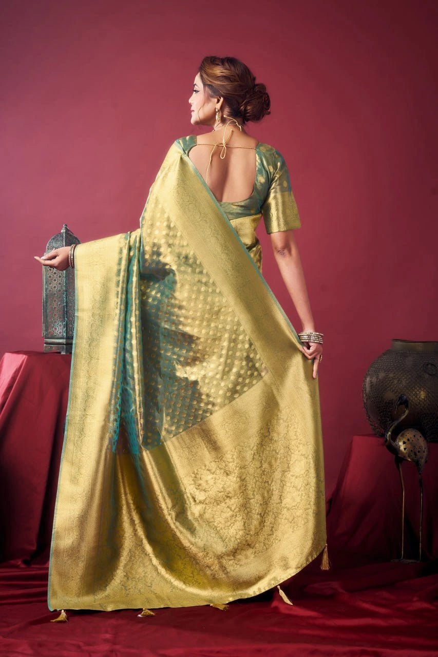 Woman in a gold and green saree against a red background