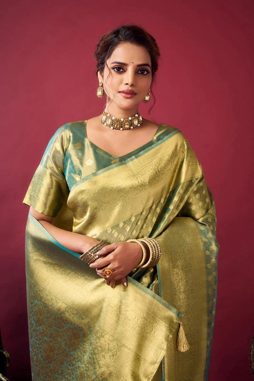 Woman wearing a green saree with a gold border against a red background