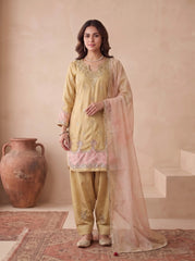 Beige Japan Satin Silk Suit Kalyanja Fashion
