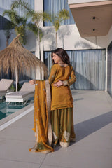 Olive Green Chiffon Suit