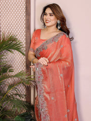Woman wearing a coral saree with silver embroidery indoors