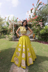 Beautiful Indian lehenga set perfect for haldi ceremonies, mehendi, weddings, festive celebrations, and special occasions.