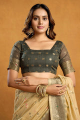Woman wearing a traditional saree with a gold blouse against a beige background