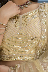 Close-up of a person wearing a gold embroidered saree with sequins.