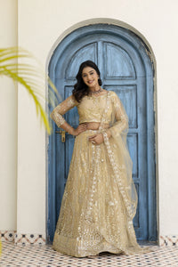 Aashika Butterfly Net Lehenga