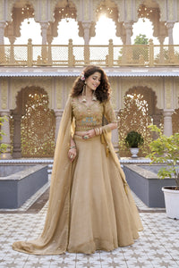 Beige Pure Crunchy Lehenga