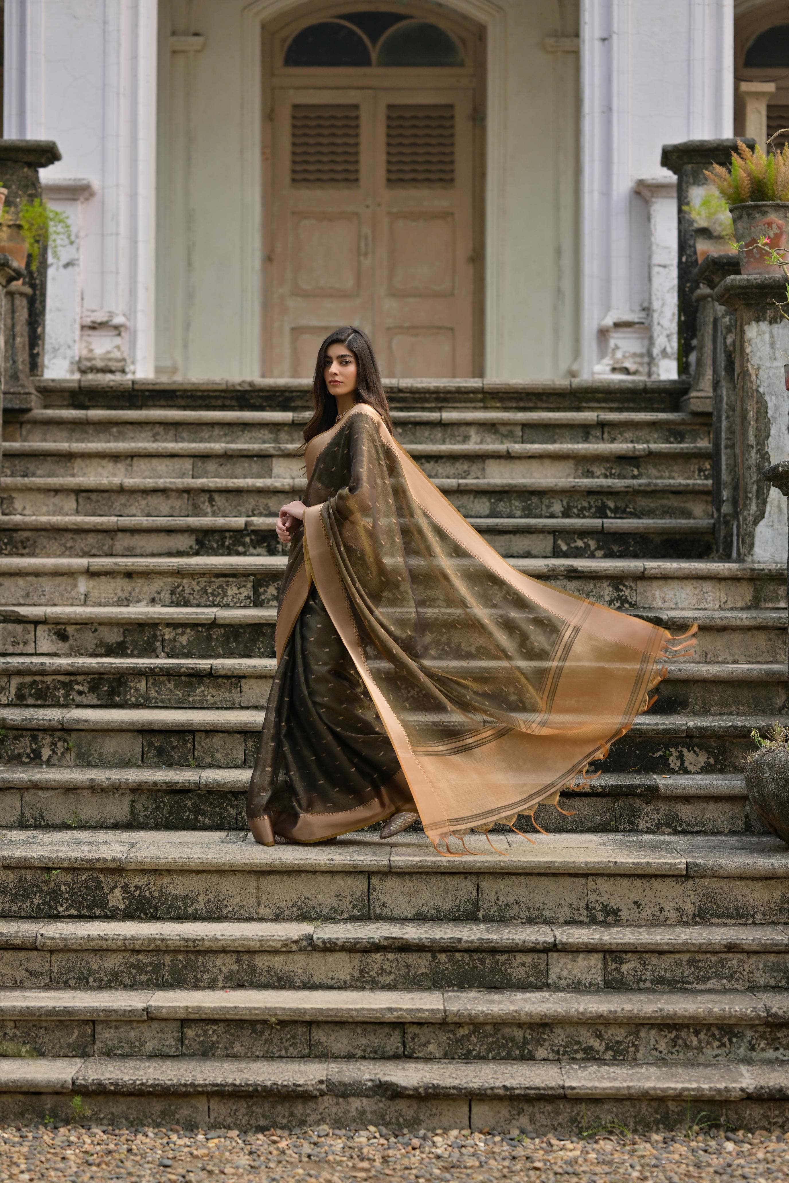 A woman models an elegant Dark Brown/Black Soft Silk Saree. The saree features subtle metallic Zari motifs on the body and a wide, contrasting metallic gold/bronze woven border and pallu. She wears a matching dark blouse and delicate gold jewelry, posing gracefully on an ornate stone staircase.