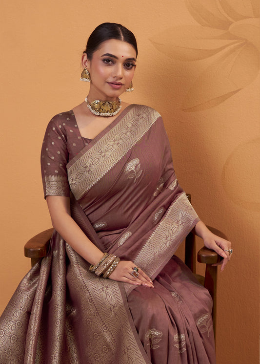 Woman wearing a traditional saree with intricate patterns on a brown background