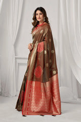 Woman wearing a traditional brown and red saree with a white curtain background