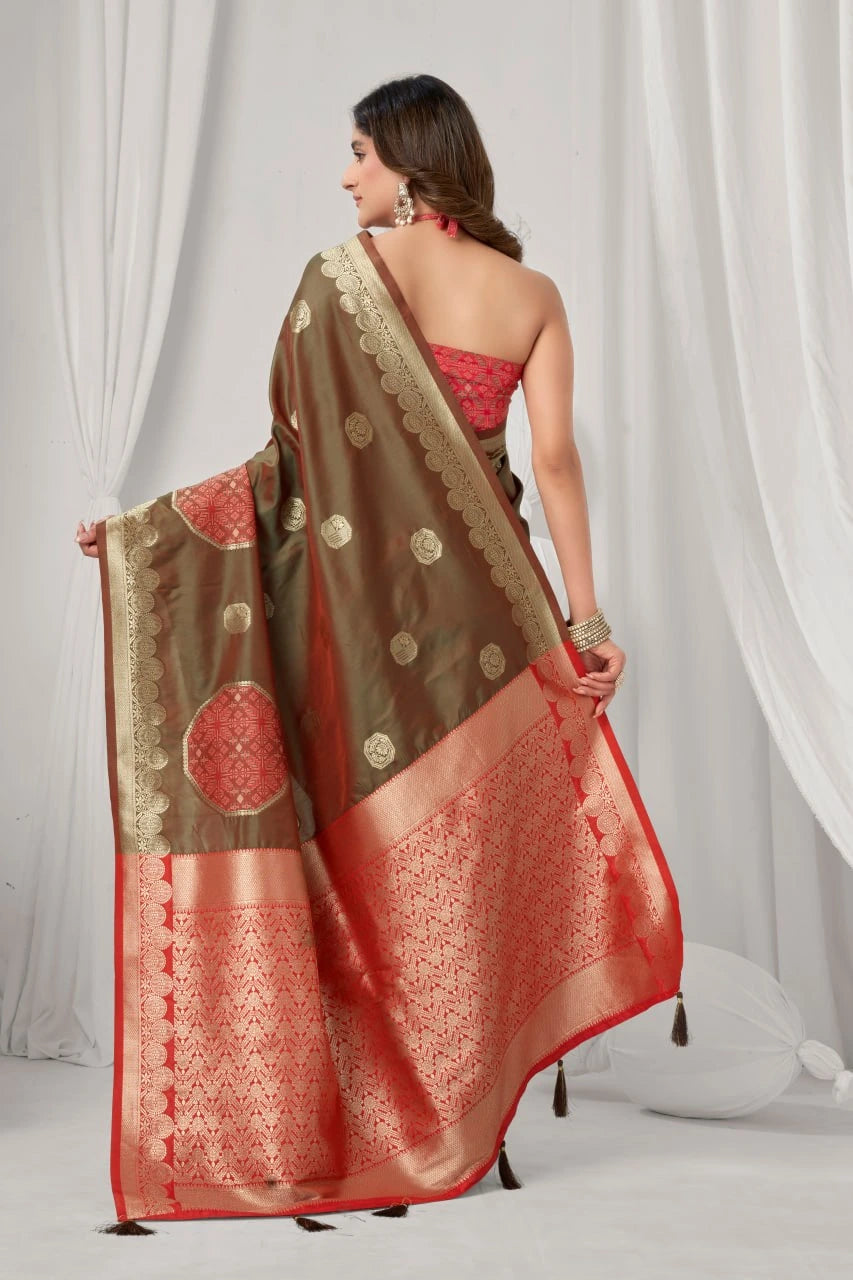 Woman wearing a traditional saree with a red and gold pattern against a white curtain background
