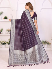 Woman wearing a purple saree with white patterns in a well-lit room.