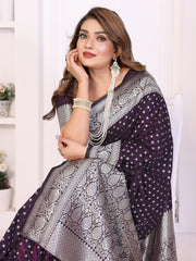 Woman wearing a purple and gray patterned saree with jewelry against a white background