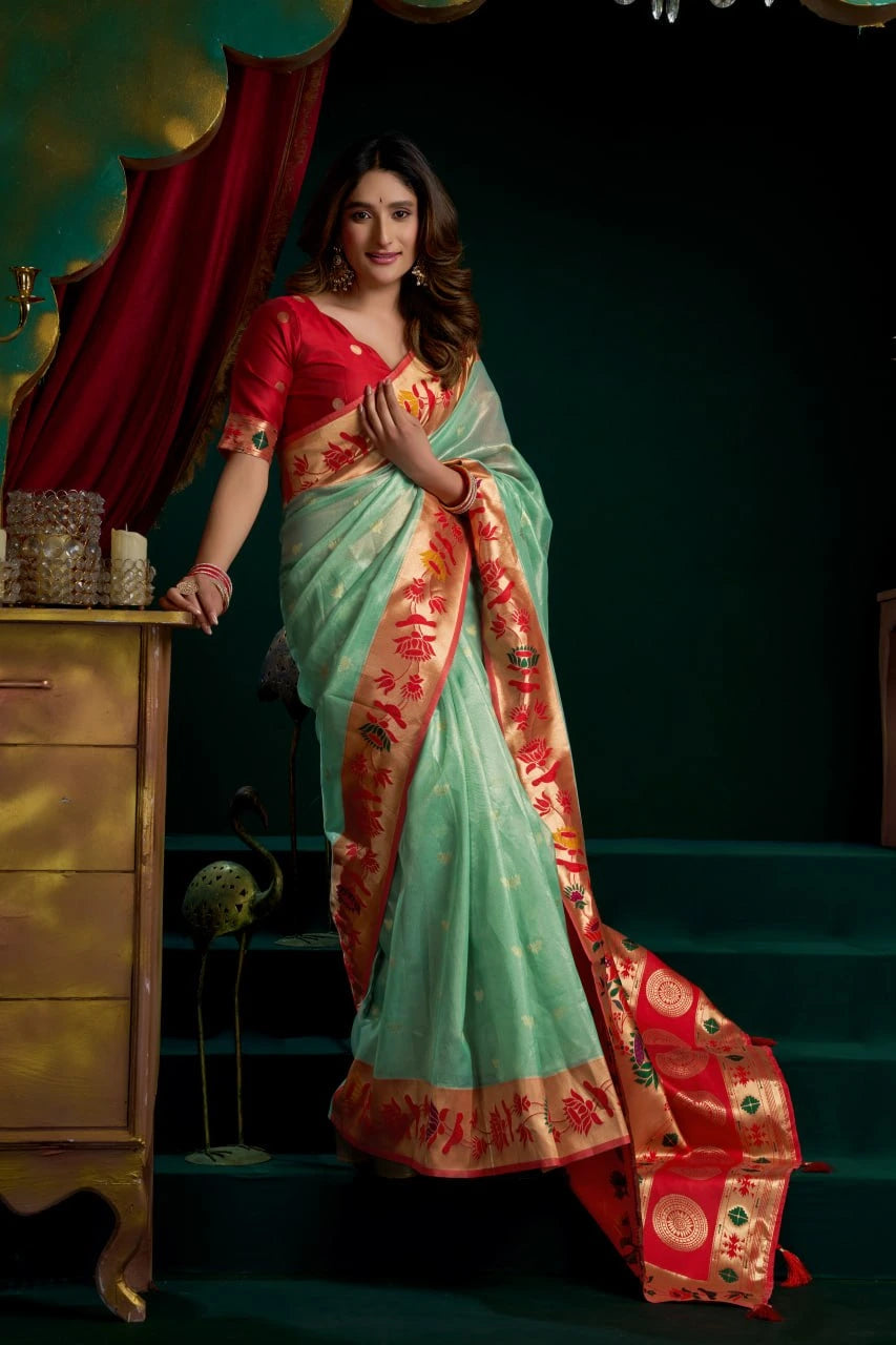 Woman in a traditional saree standing in a room with a dark background