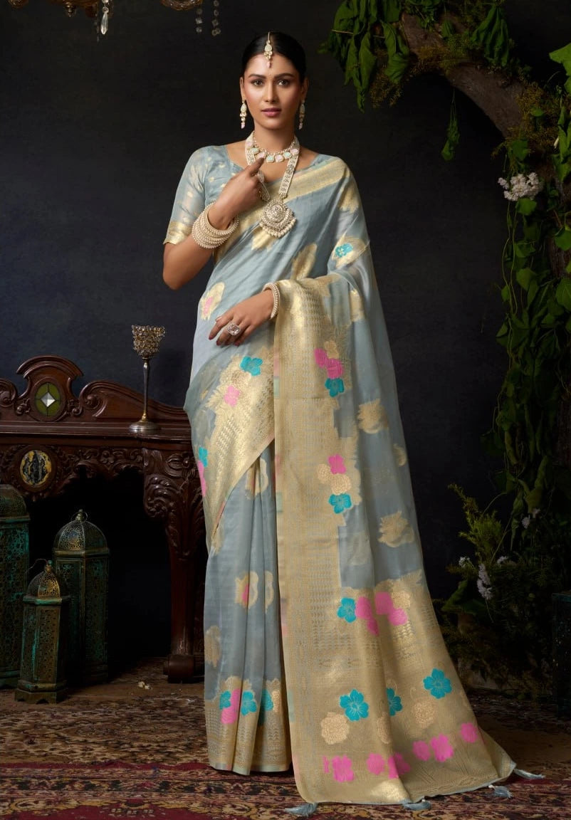 Woman wearing a traditional saree with a dark background