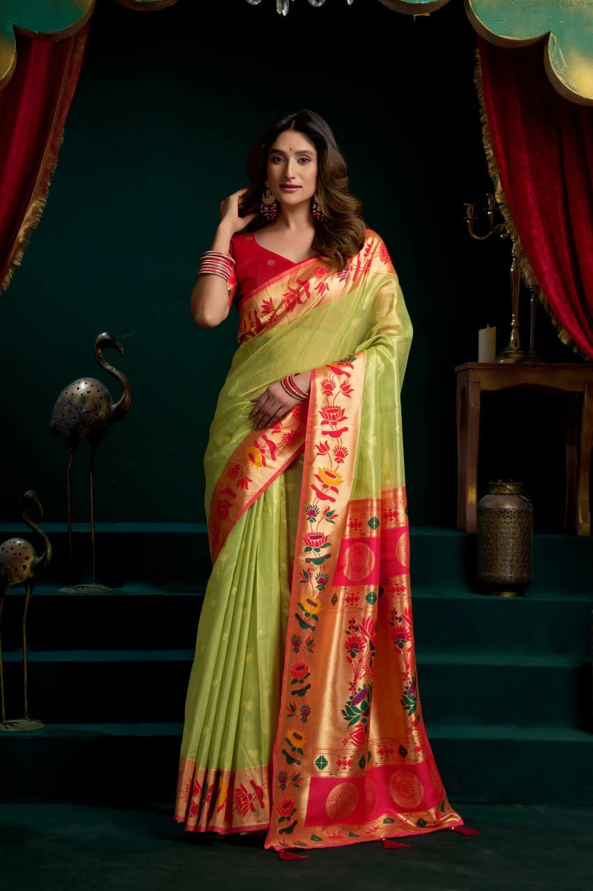 Woman wearing a traditional saree with a colorful design in a dark setting