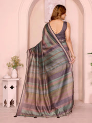 Multicolor Digital Print Chanderi Saree – back view showing full pallu spread