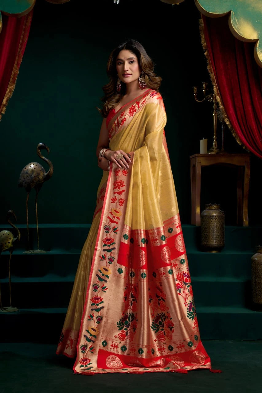 Woman wearing a traditional saree with a red and beige color scheme in a dark setting.