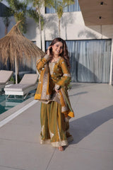 Olive Green Chiffon Suit