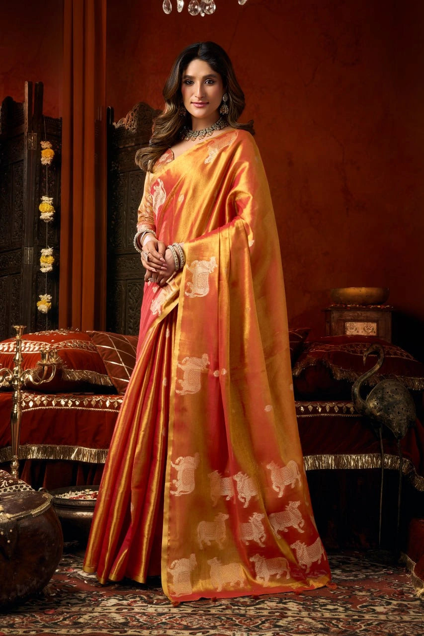 Woman in a traditional saree with intricate patterns in a decorative setting