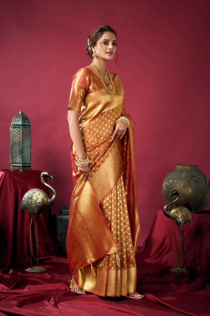 Woman in a traditional saree standing against a red background with decorative elements.