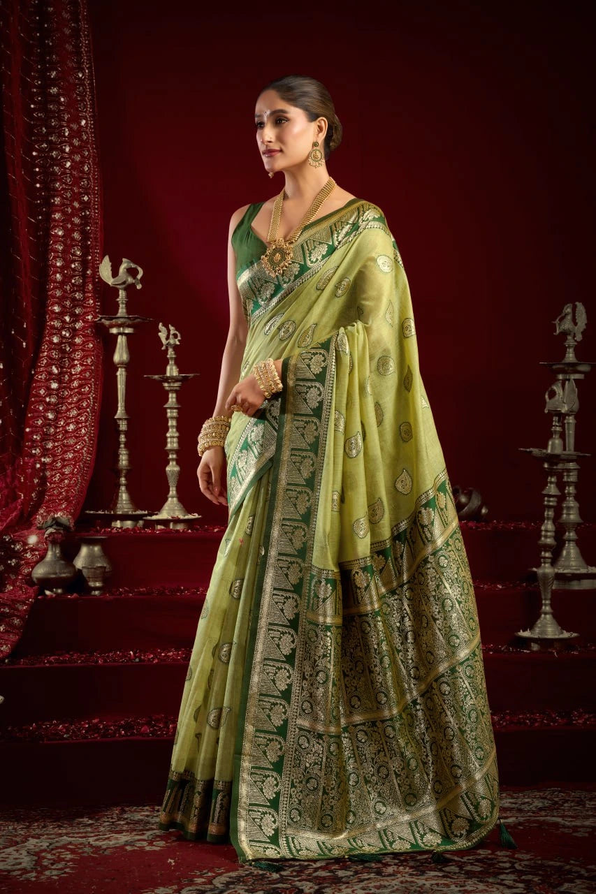 Woman in a green saree with a red background