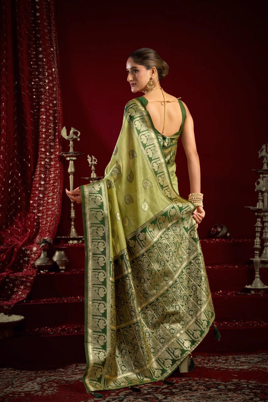 Woman in a green saree with a red background