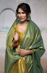 Woman wearing a green and gold traditional outfit with a plain background