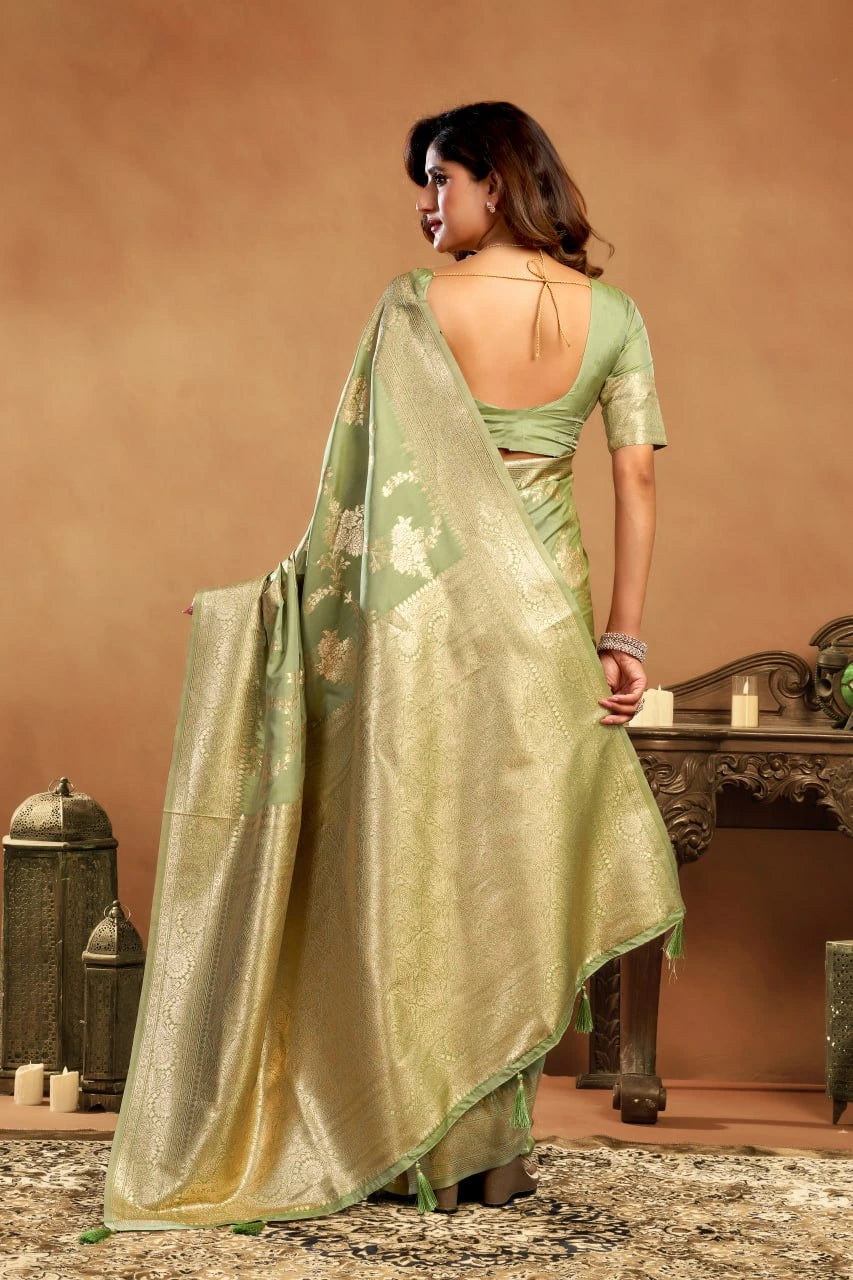 Woman wearing a green saree with a matching blouse against a brown background