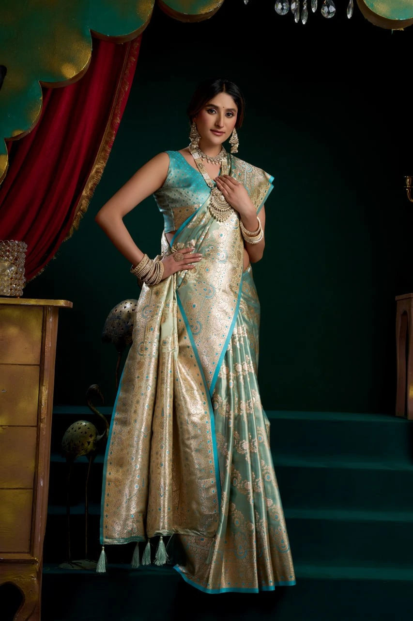 Woman in a traditional saree with a dark background