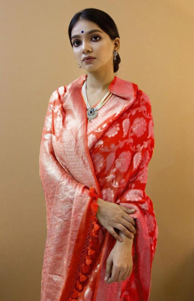 Woman in a red jacquard work saree with gold border standing indoors in an elegant room with arched decor and vintage furniture elements