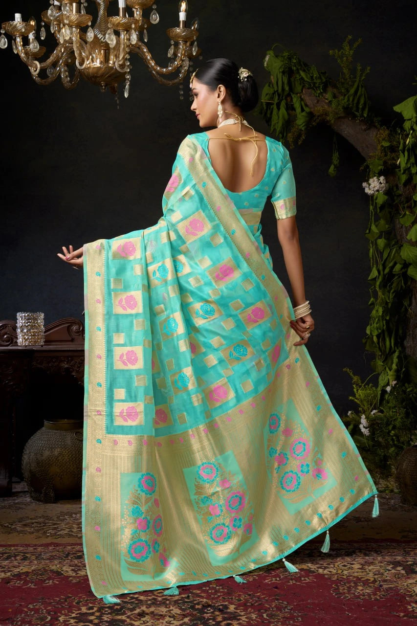 Woman wearing a traditional saree with a chandelier and decorative plants in the background