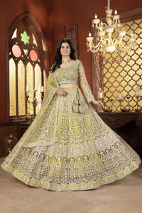 Shrutakirti Butterfly Net Lehenga