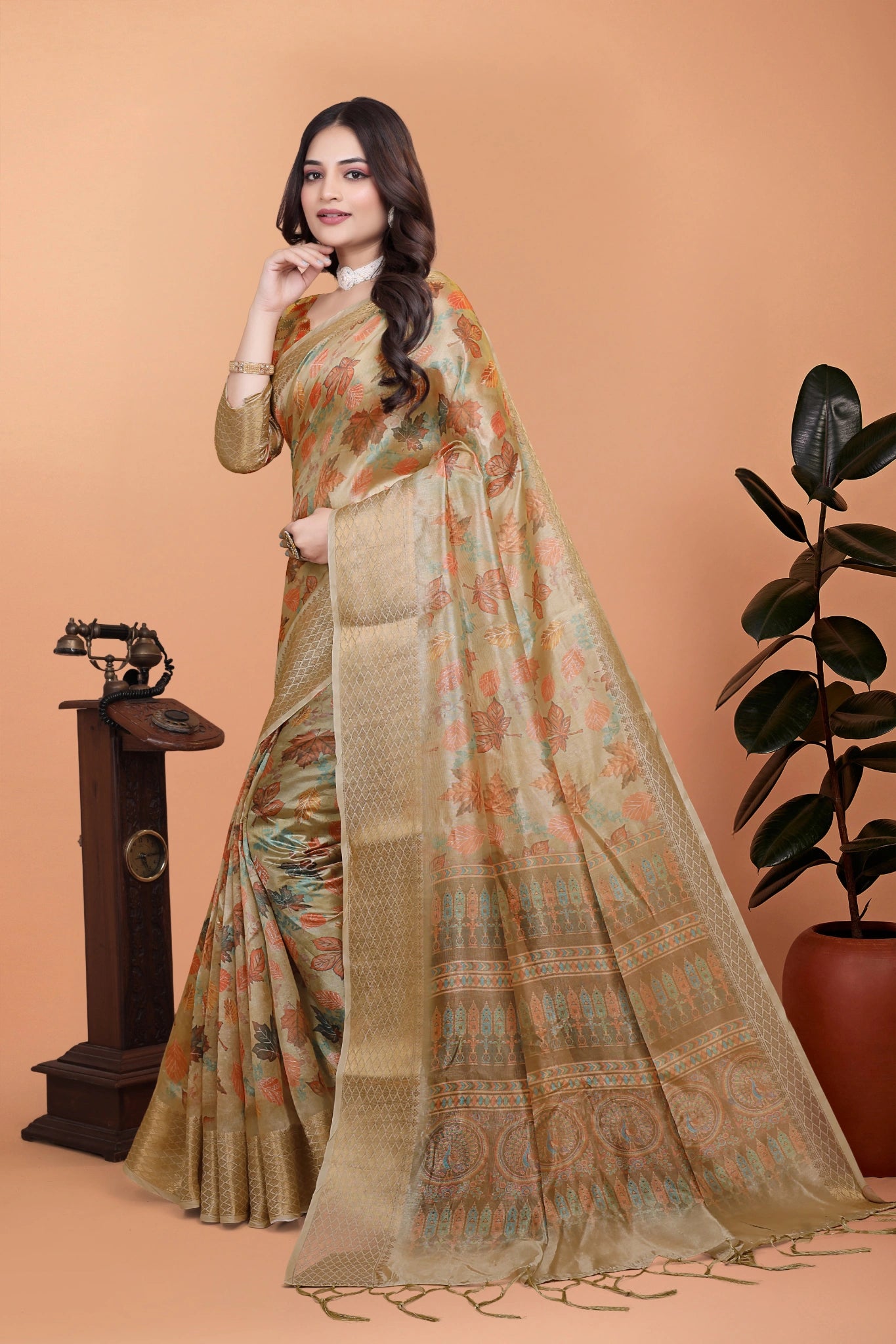 Beige Crystal Saree Full Front with Gold Zari Border Kalyanja KS382