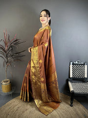Brown Zari Weaving Saree side view – KS374
