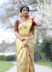 Light Golden Jacquard Work Saree Soft Lichi Silk Blend KS415 – pleats drape