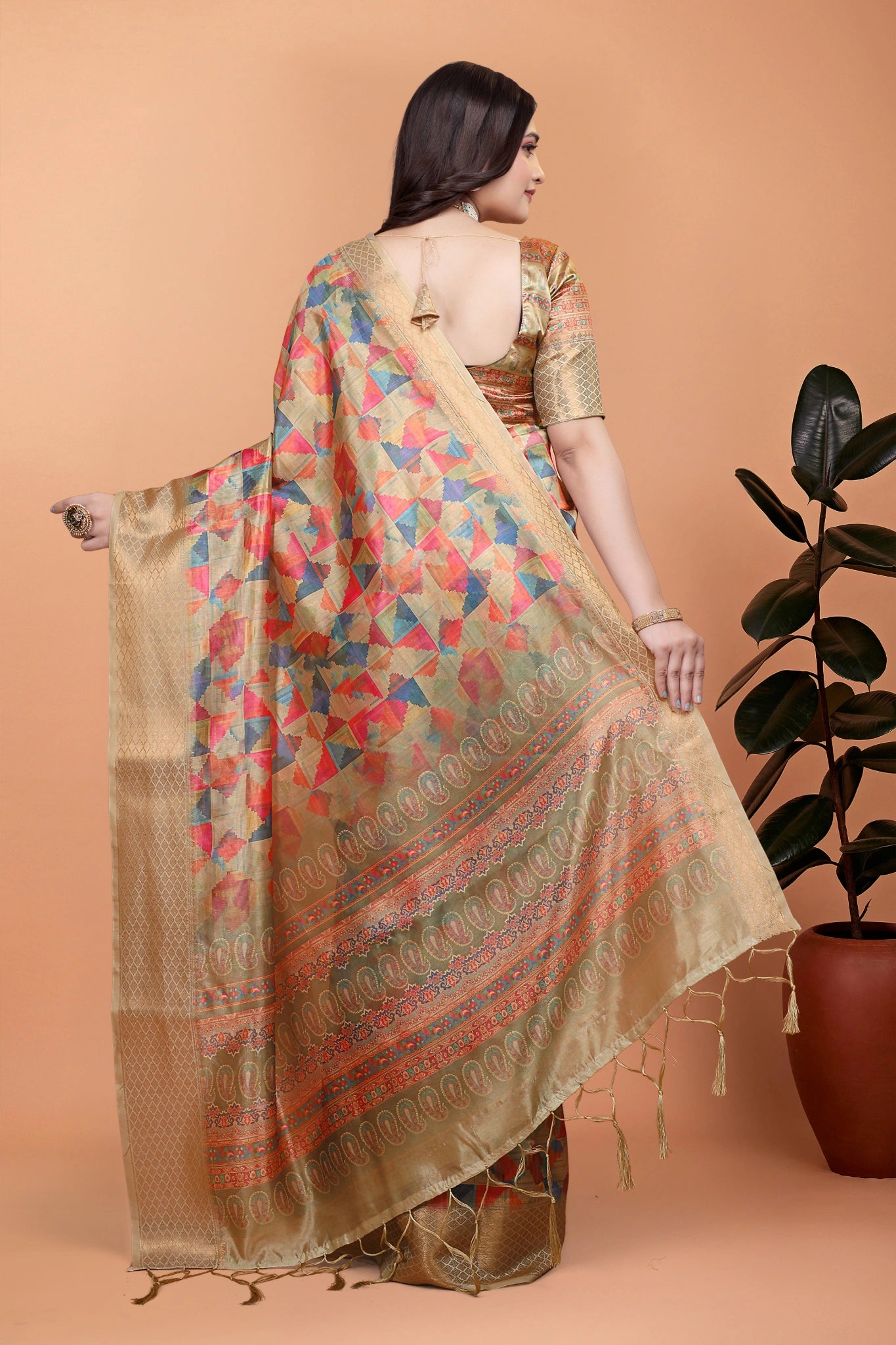 Multicolor Zari Weaving Saree Back View with Printed Pallu Kalyanja KS385